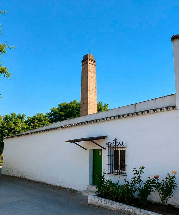 Agricultura y huertas de Cabra, Córdoba
