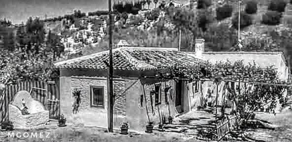 Fotos agricultura y huertas de Cabra, Córdoba