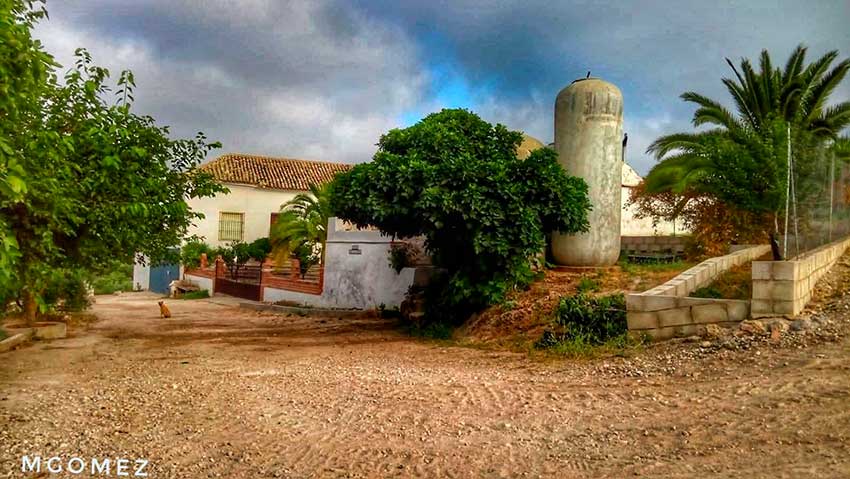 Fotos agricultura y huertas de Cabra, Córdoba