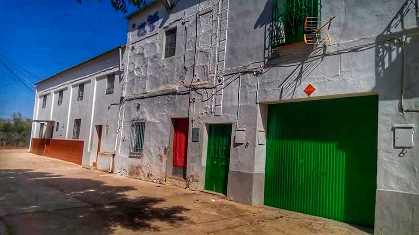 Fotos agricultura y huertas de Cabra, Córdoba