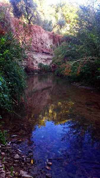 Fotos agua, manantiales, veneros fuentes Cabra.