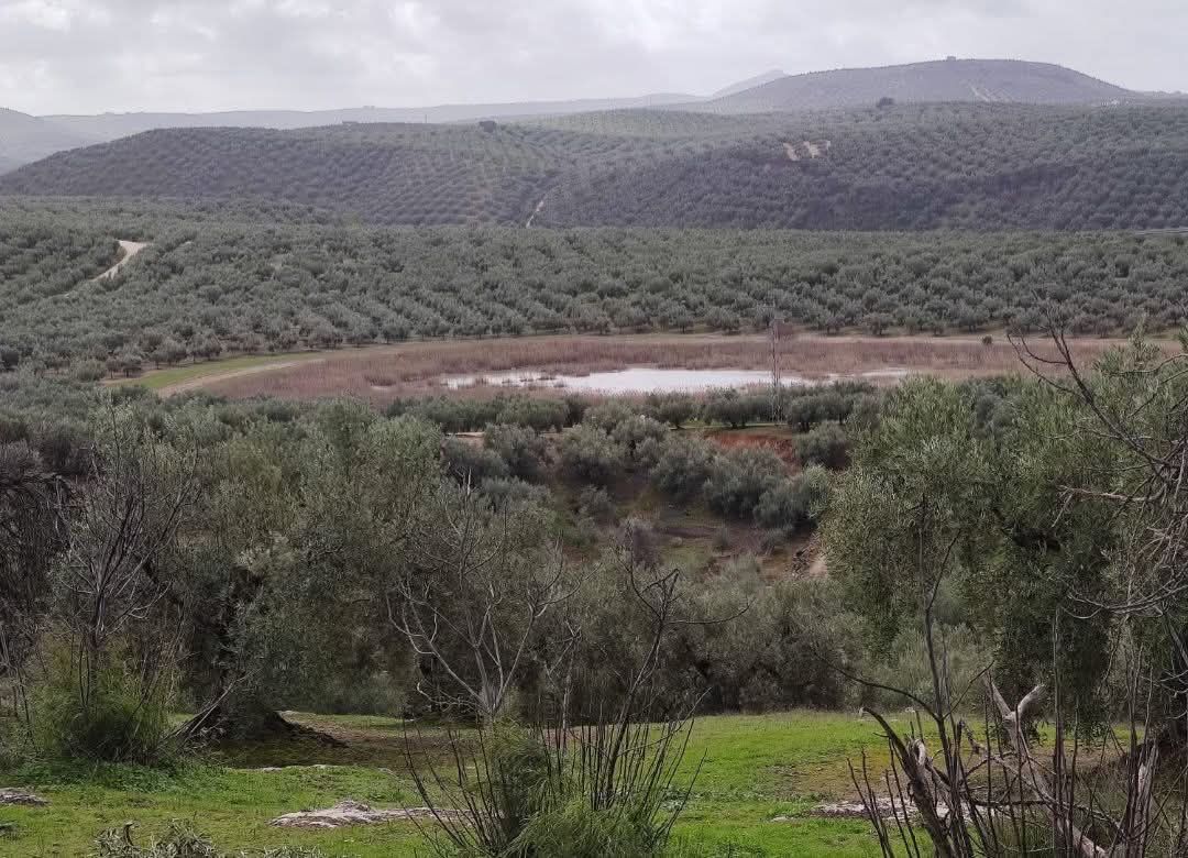 Fotografía relacionada con el agua en Cabra Córdoba