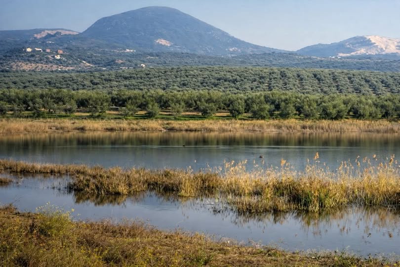 Fotografía relacionada con el agua en Cabra Córdoba