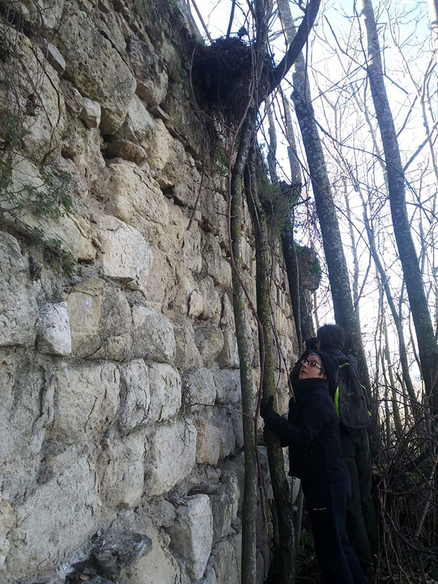 Arqueología y Patrimonio de Cabra.