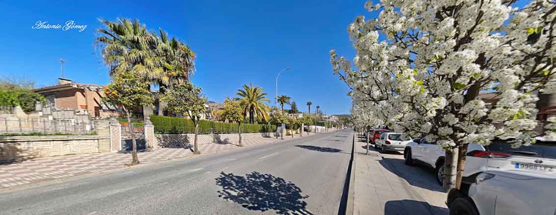 Fotografias de las calles, viales, sendas y puentes de Cabra