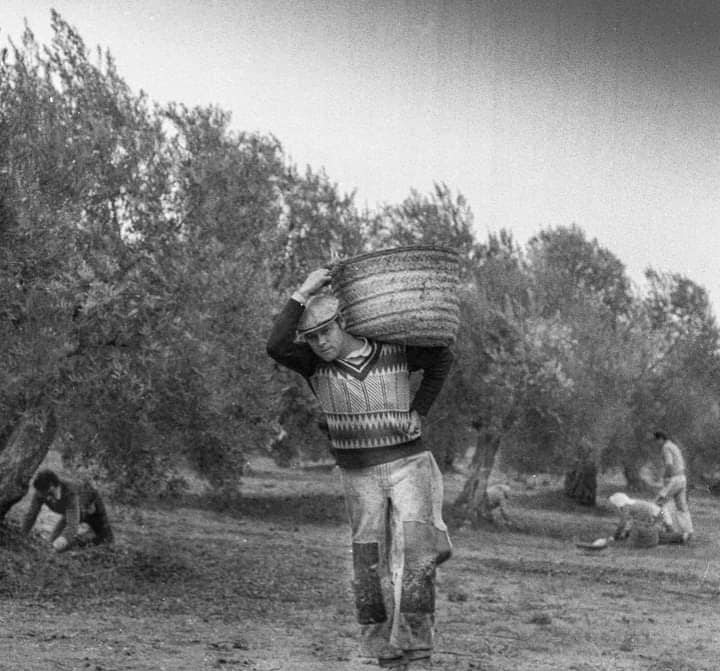 Fotos de trabajadores, currantes, oficios, empleos de Cabra