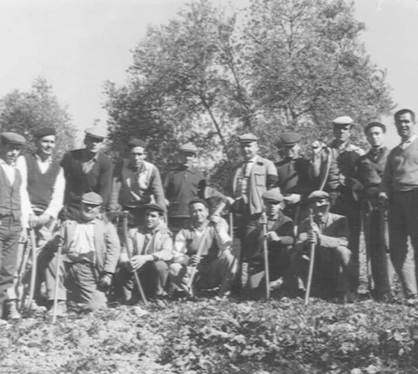 Fotos de trabajadores, currantes, oficios, empleos de Cabra