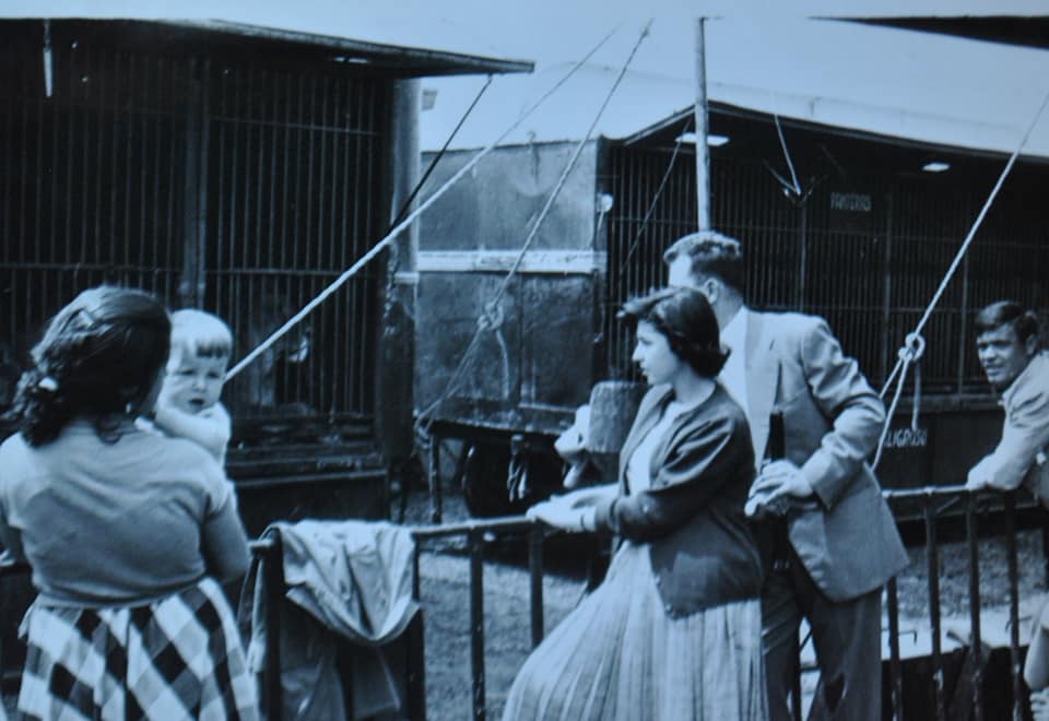 Fotografías de Foto Calvo  de Cabra