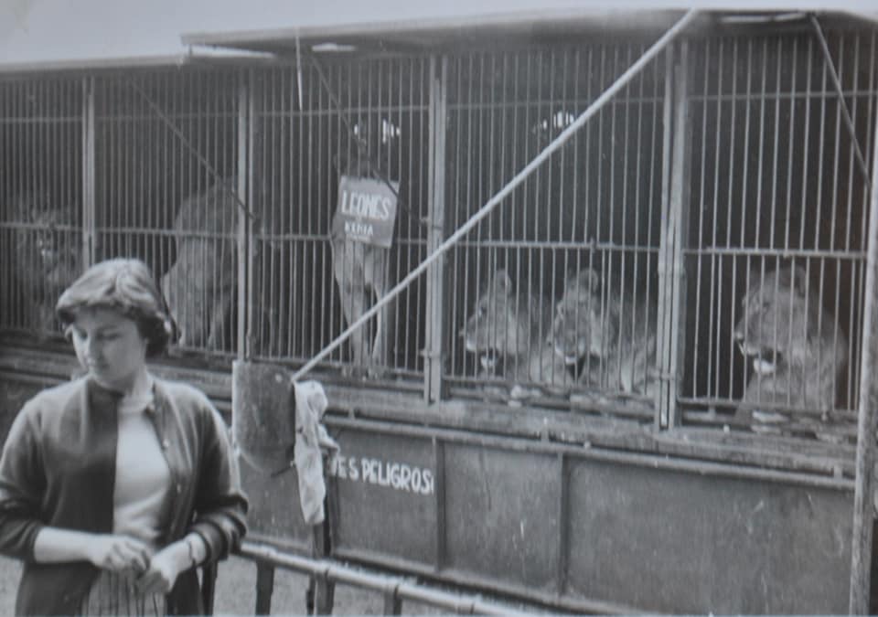 Fotografías de Foto Calvo  de Cabra