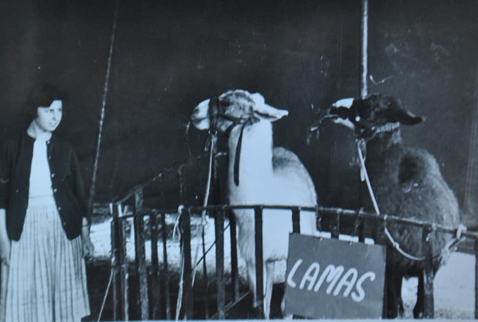 Fotografías de Foto Calvo  de Cabra