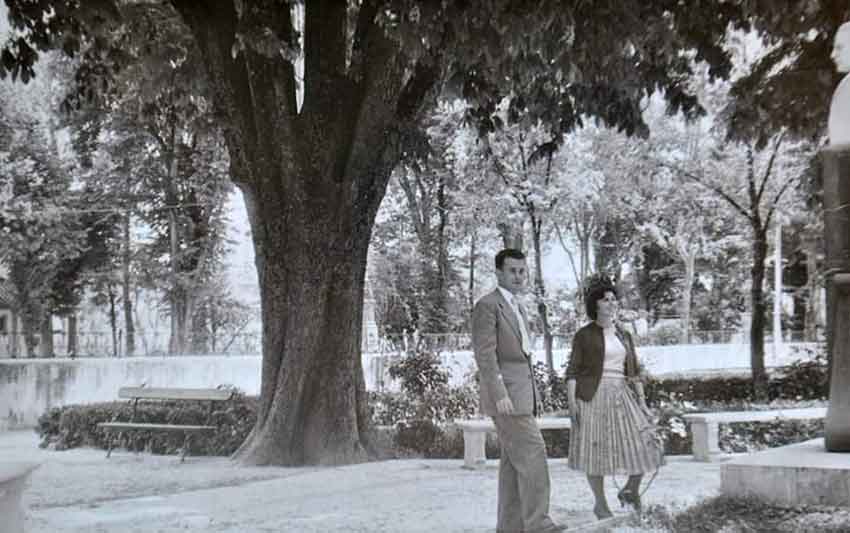 Fotografías de Foto Calvo  de Cabra
