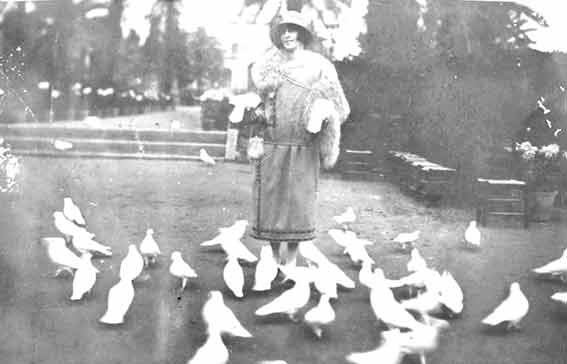 pediente de insertar foto