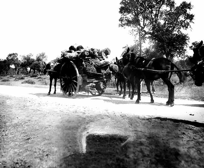 Fotografás interesantes .