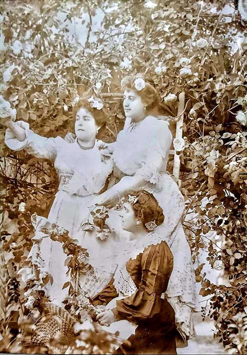 pediente de insertar foto