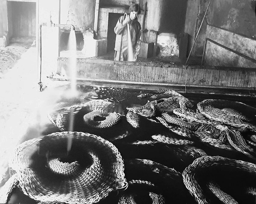 fotografías relativas a las fabricas e industria de Cabra