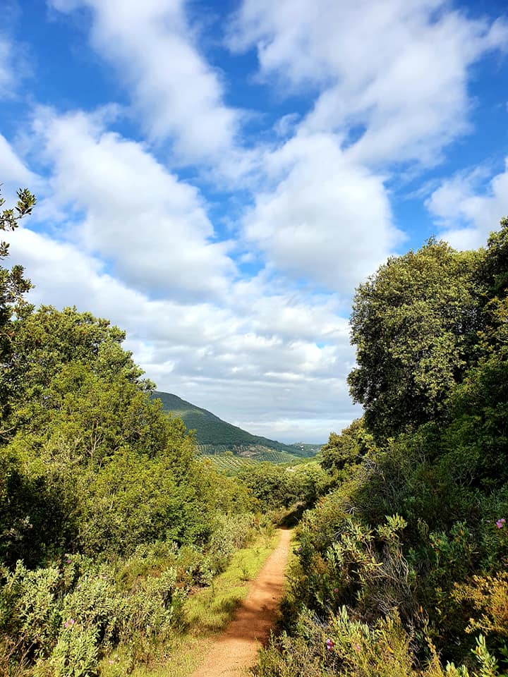 Fotografía de la ruta ca la cañada del  Castillejo de Carcabuey
