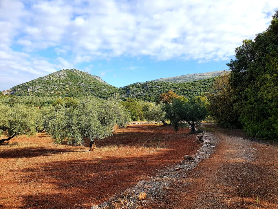 Fotografía de la ruta ca la cañada del  Castillejo de Carcabuey
