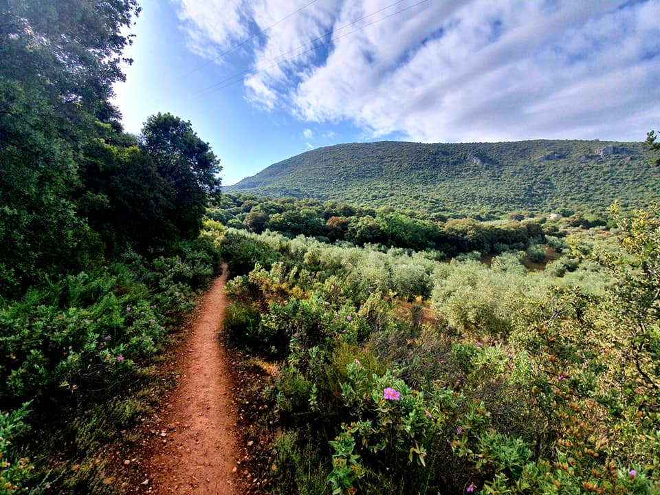 Fotografía de la ruta ca la cañada del  Castillejo de Carcabuey
