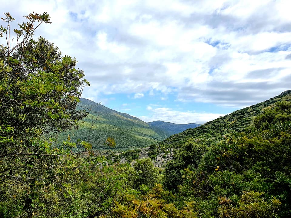 Fotografía de la ruta ca la cañada del  Castillejo de Carcabuey
