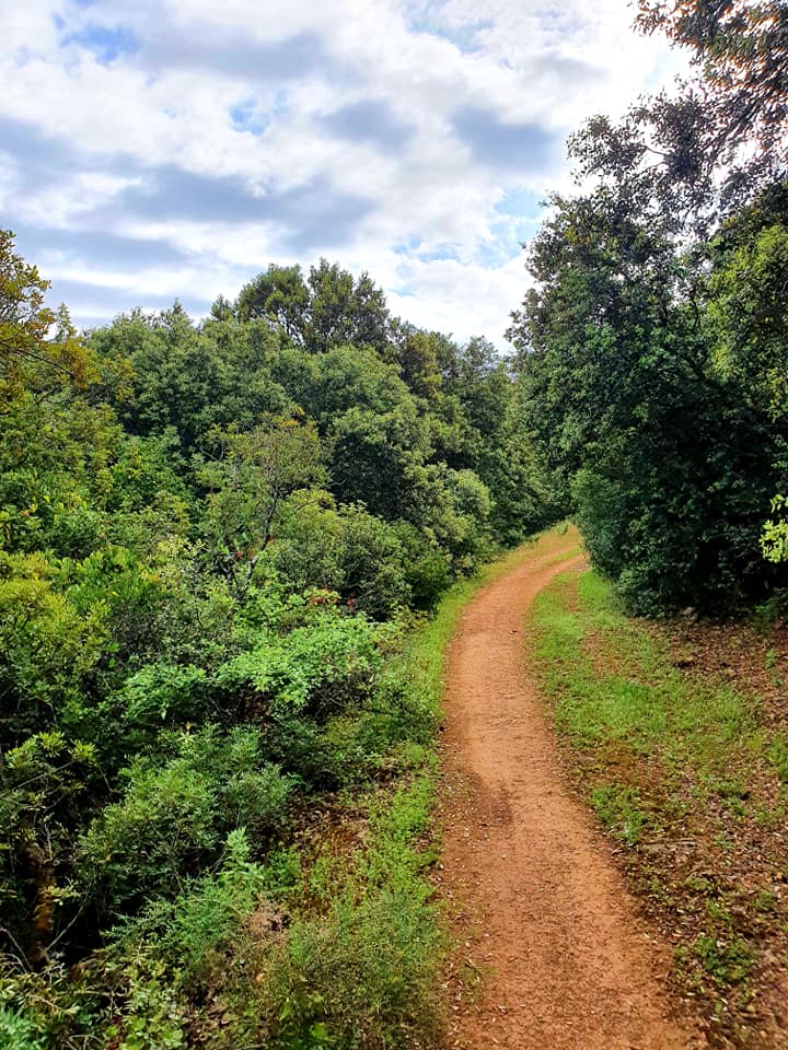 Fotografía de la ruta ca la cañada del  Castillejo de Carcabuey 