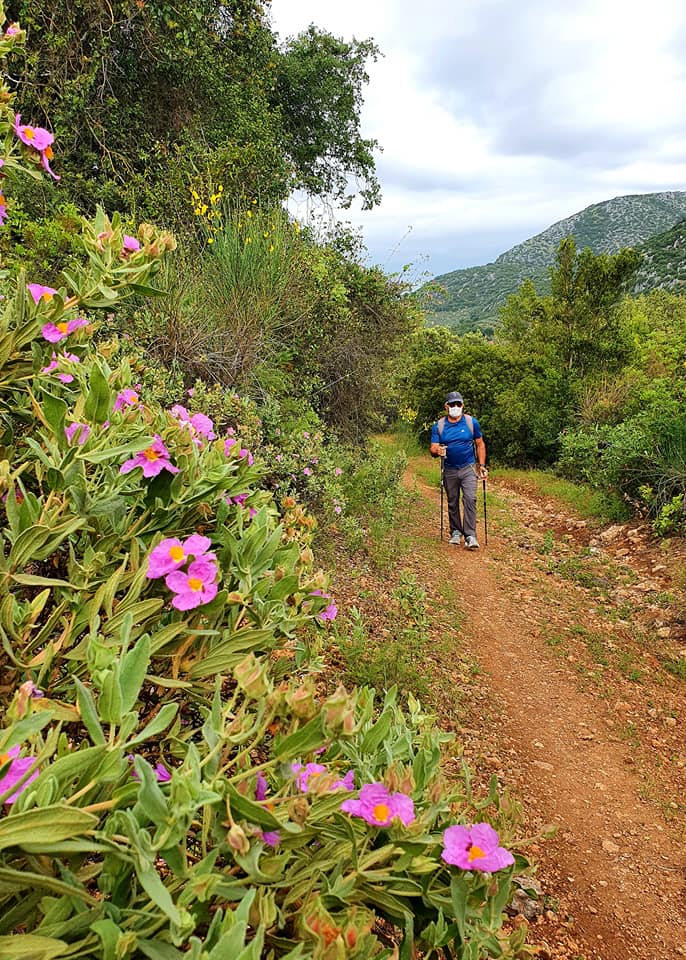 Fotografía de la ruta ca la cañada del  Castillejo de Carcabuey

