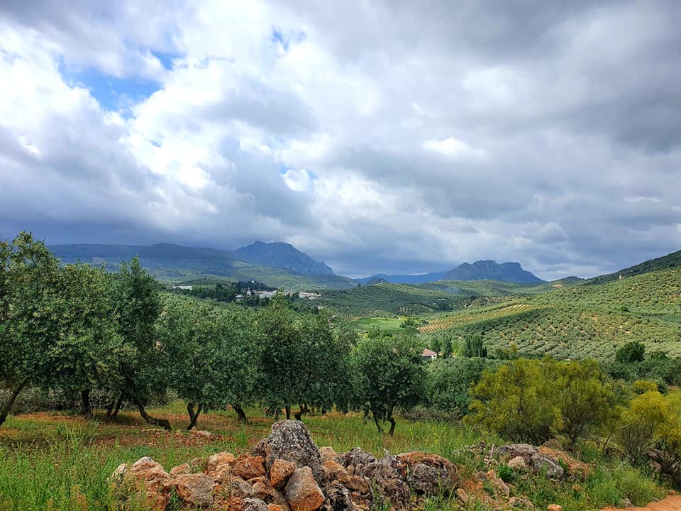 Fotografía de la ruta ca la cañada del  Castillejo de Carcabuey 
