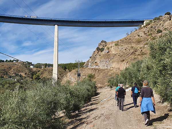 Rutas de las norias de Benamejí en el río Genil