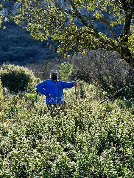 Fotos 1599-ruta-camarena, manantiales, veneros fuentes Cabra.
