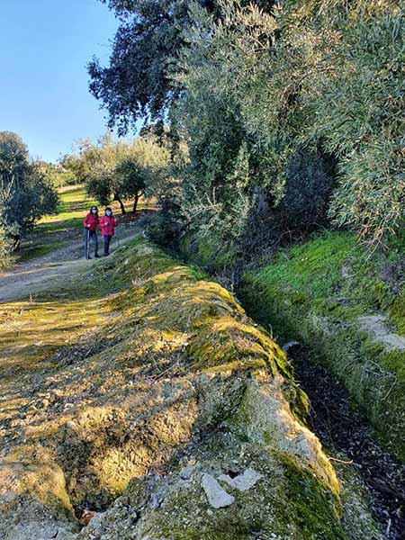 Fotos 1599-ruta-camarena, manantiales, veneros fuentes Cabra.