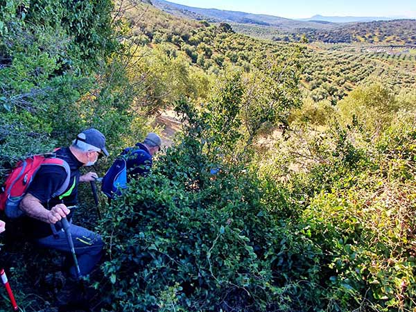 Fotos 1599-ruta-camarena, manantiales, veneros fuentes Cabra.