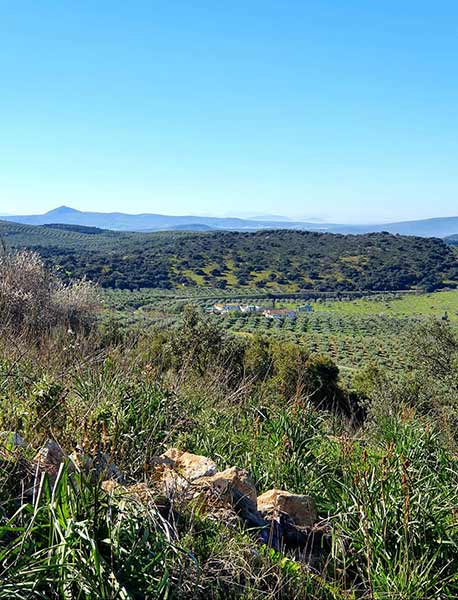 Fotos 1599-ruta-camarena, manantiales, veneros fuentes Cabra.