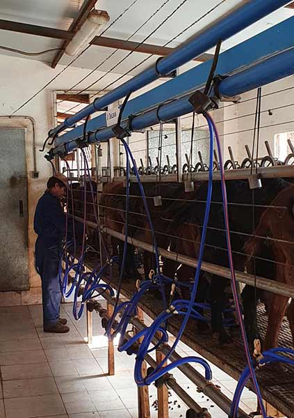 Fotos 1599-ruta-camarena, manantiales, veneros fuentes Cabra.