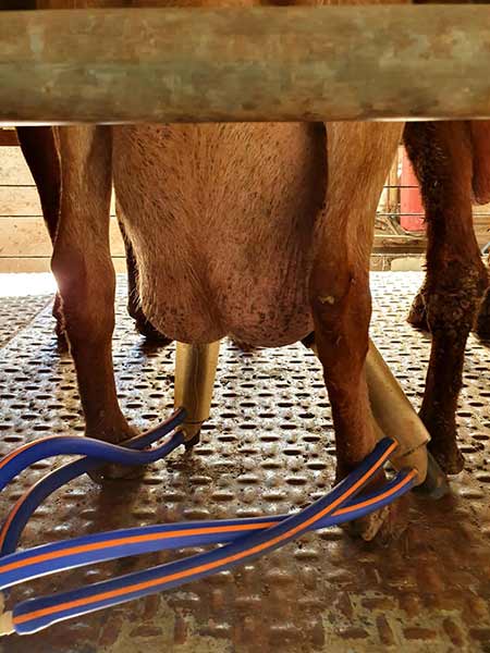 Fotos 1599-ruta-camarena, manantiales, veneros fuentes Cabra.