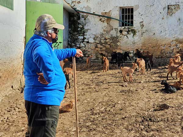 Fotos 1599-ruta-camarena, manantiales, veneros fuentes Cabra.