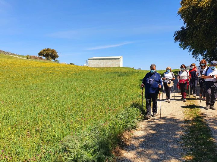 Ruta por las dehesas de Peñalisa y Vichira (Priego)
