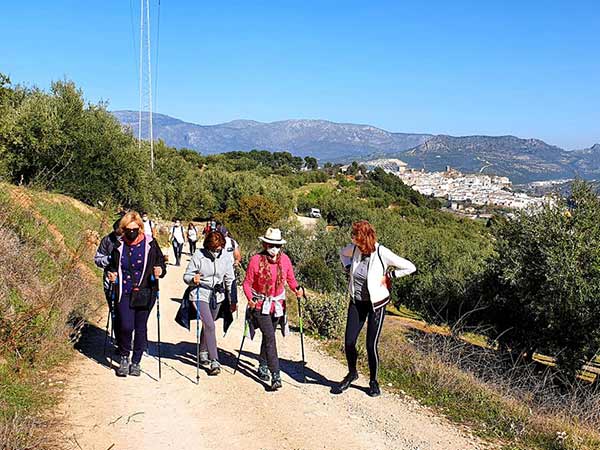 Fotografía de la ruta pedestre al río Salado de Priego