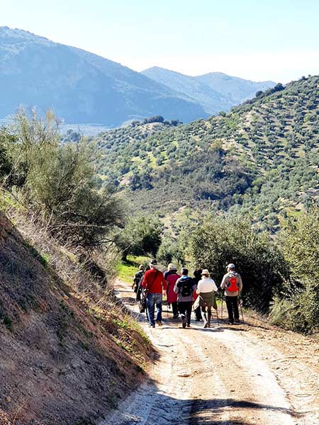 Fotografía de la ruta pedestre al río Salado de Priego