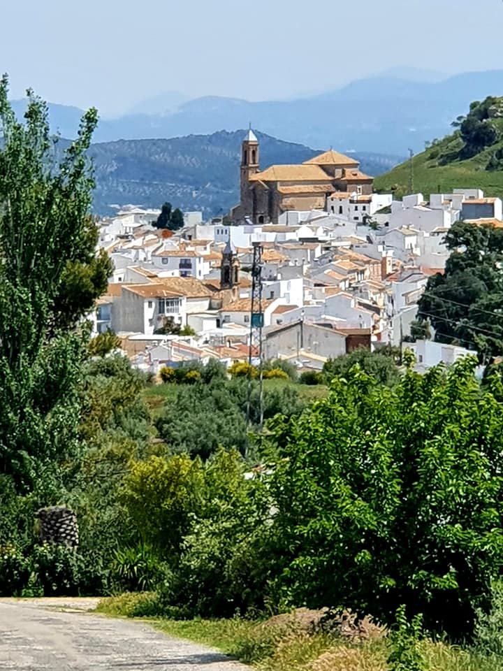 Fotografías de la ruta pedestres por la cañada Hornillo de Carcabuey