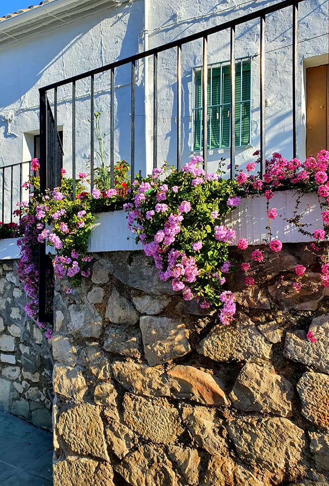 Fotografías de la ruta pedestres por la cañada Hornillo de Carcabuey