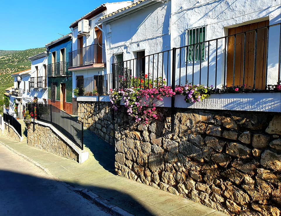 Fotografías de la ruta pedestres por la cañada Hornillo de Carcabuey