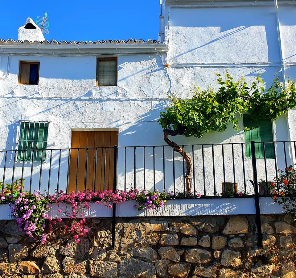 Fotografías de la ruta pedestres por la cañada Hornillo de Carcabuey