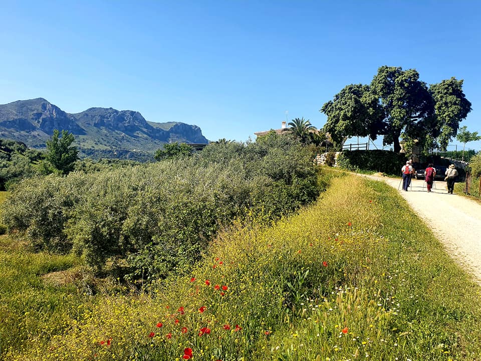 Fotografías de la ruta pedestres por la cañada Hornillo de Carcabuey