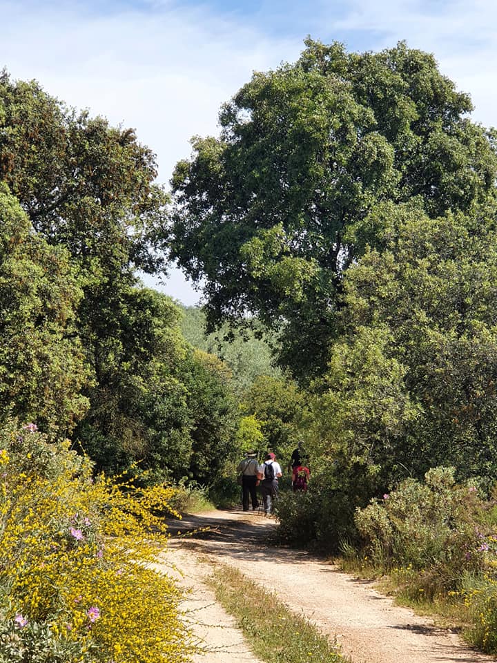 Fotografías de la ruta pedestres por la cañada Hornillo de Carcabuey