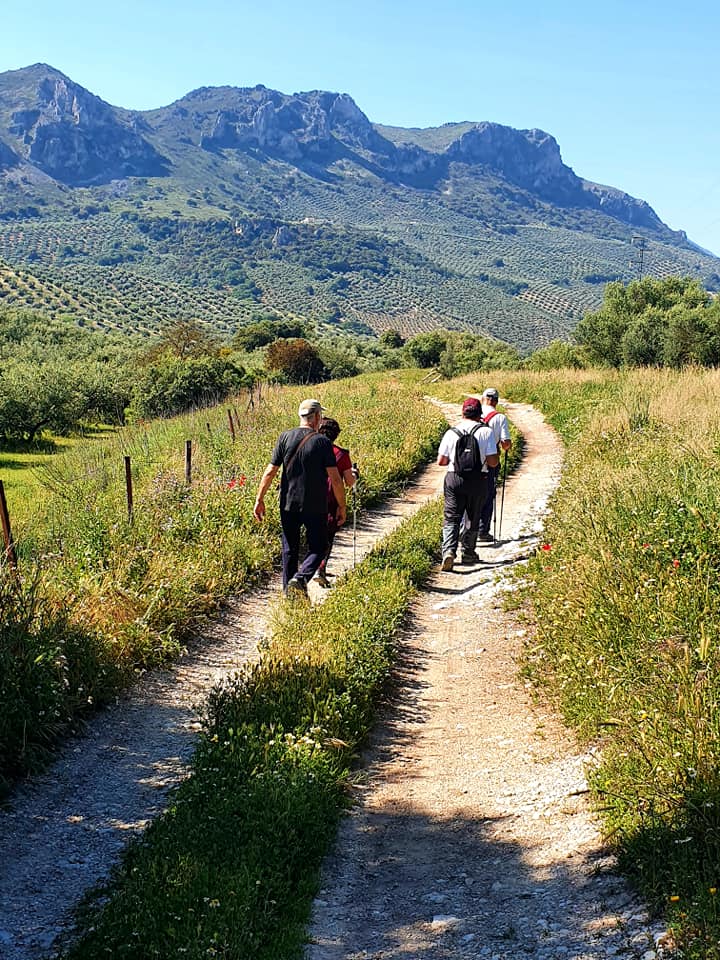 Fotografías de la ruta pedestres por la cañada Hornillo de Carcabuey