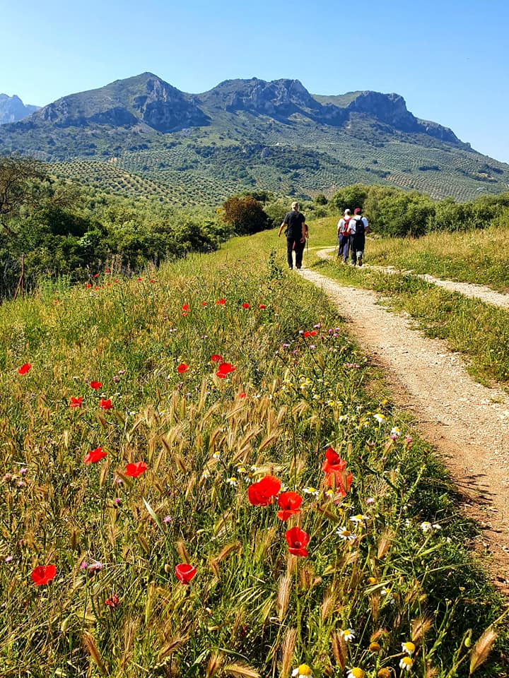 Fotografías de la ruta pedestres por la cañada Hornillo de Carcabuey