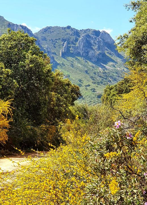 Fotografías de la ruta pedestres por la cañada Hornillo de Carcabuey