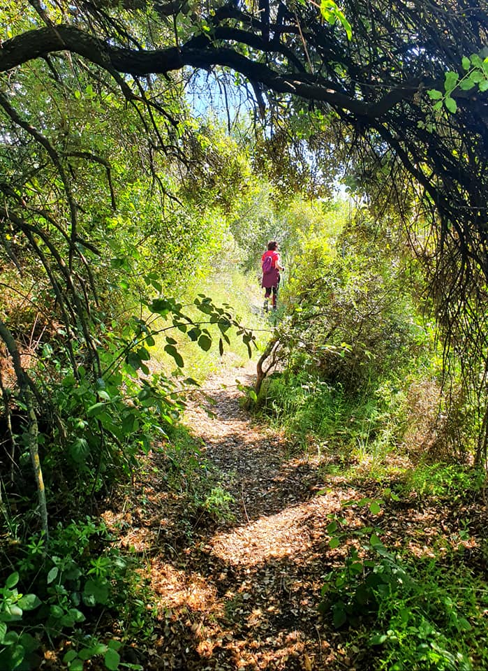Fotografías de la ruta pedestres por la cañada Hornillo de Carcabuey