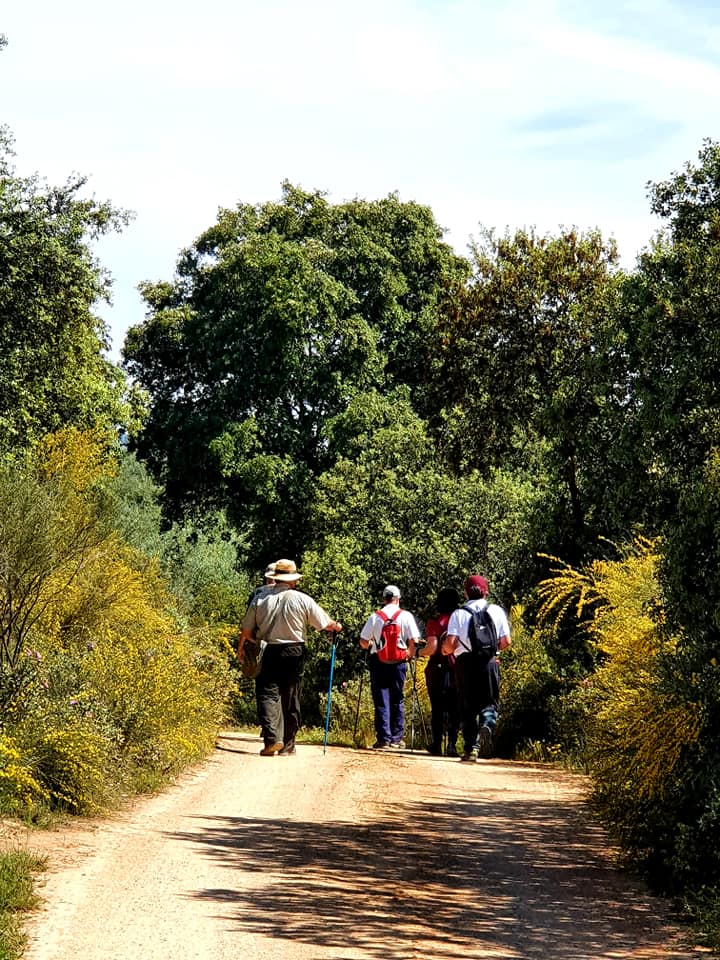 Fotografías de la ruta pedestres por la cañada Hornillo de Carcabuey