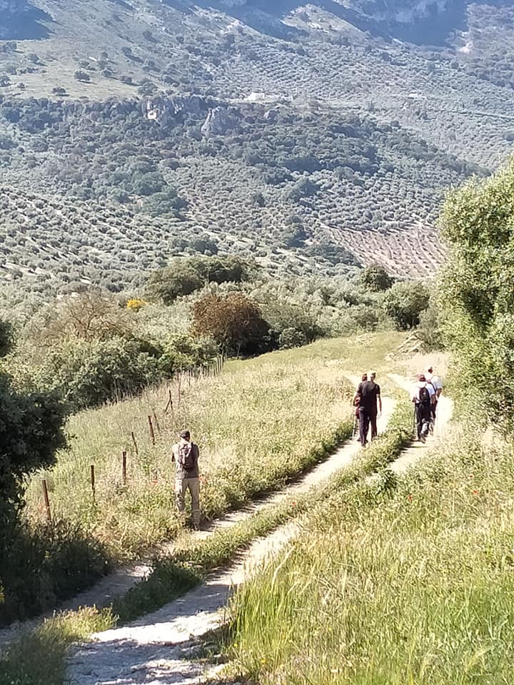 Fotografías de la ruta pedestres por la cañada Hornillo de Carcabuey