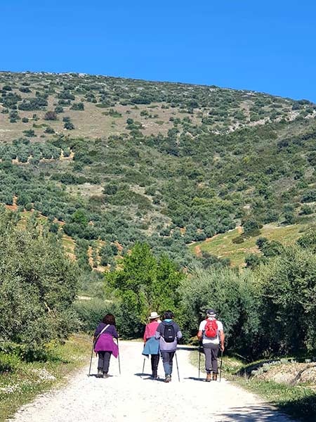 fotografias de la ruta pedestre por el sendero Luca de Carcabuey
